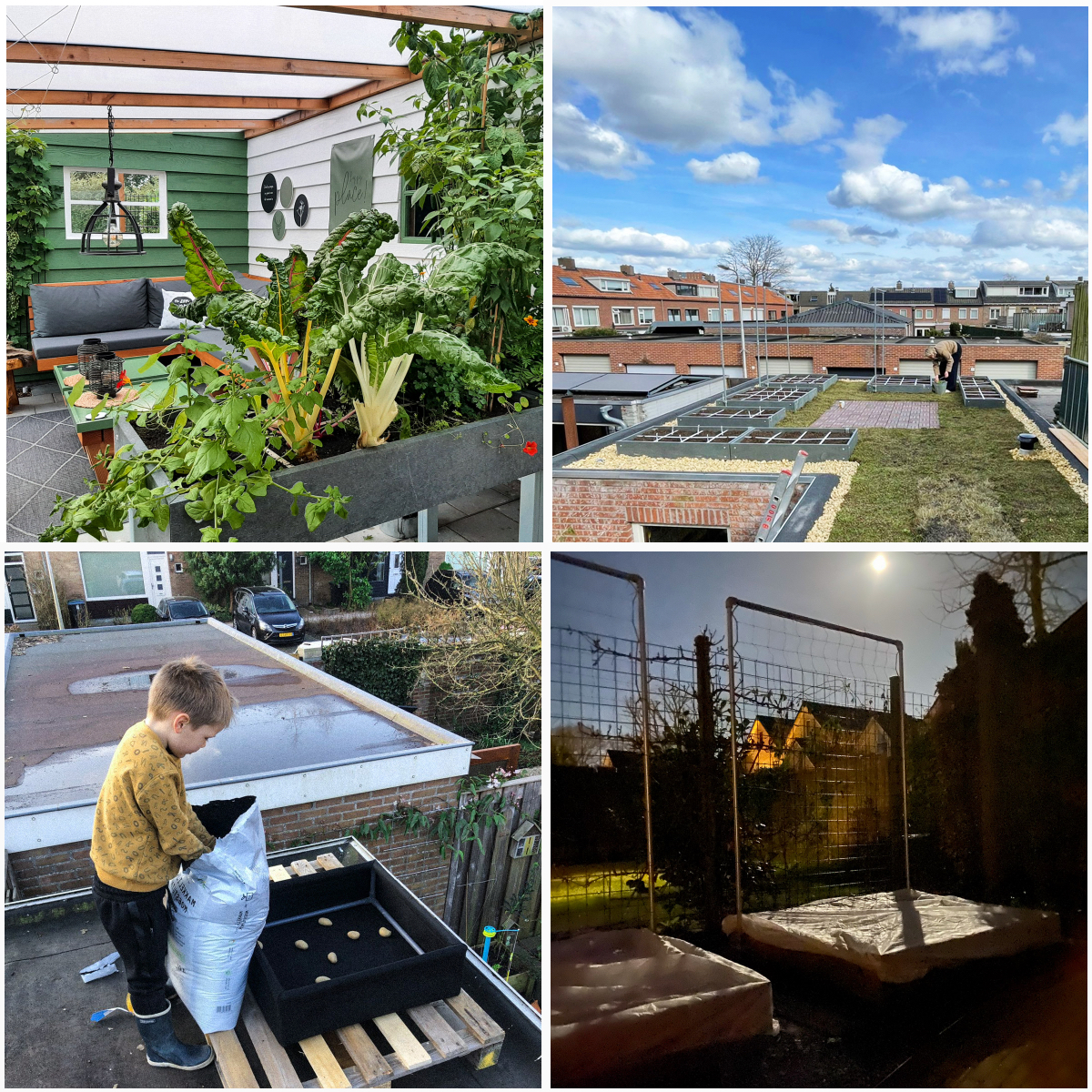 Collage of Makkelijke Moestuin community gardens