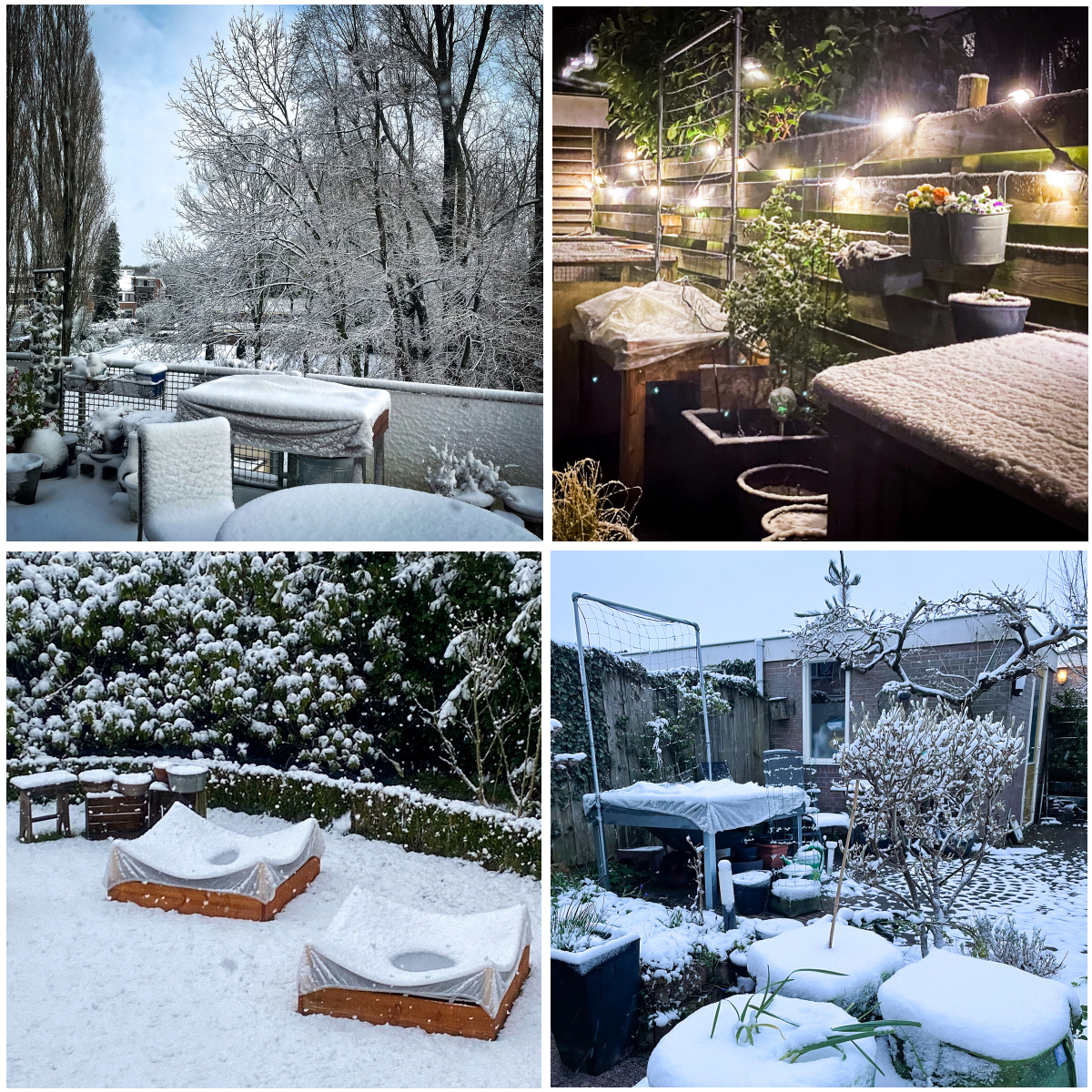 Makkelijke Moestuinen in de sneeuw