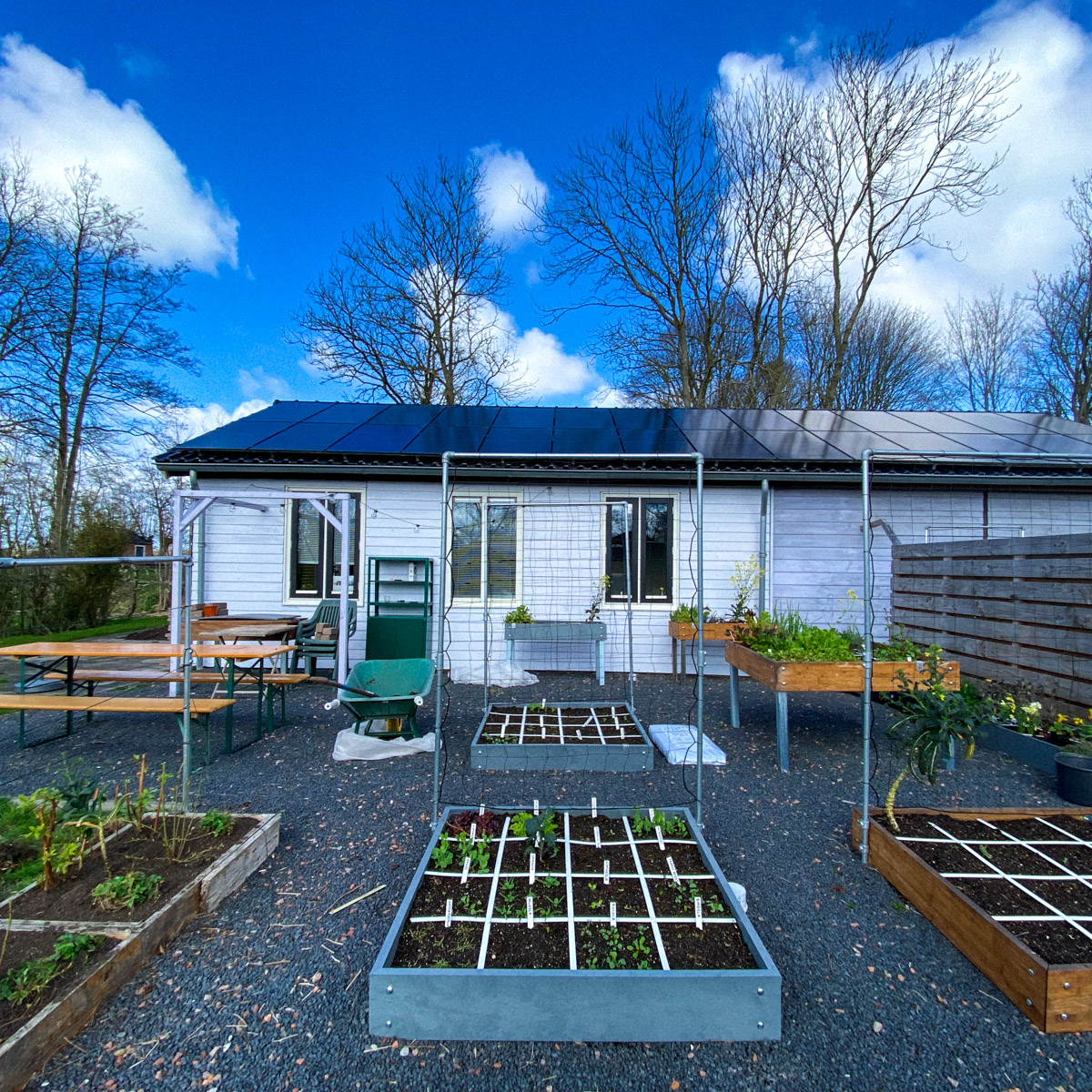 Moestuinbak vol frambozen en bosaardbeien - september vorig jaar