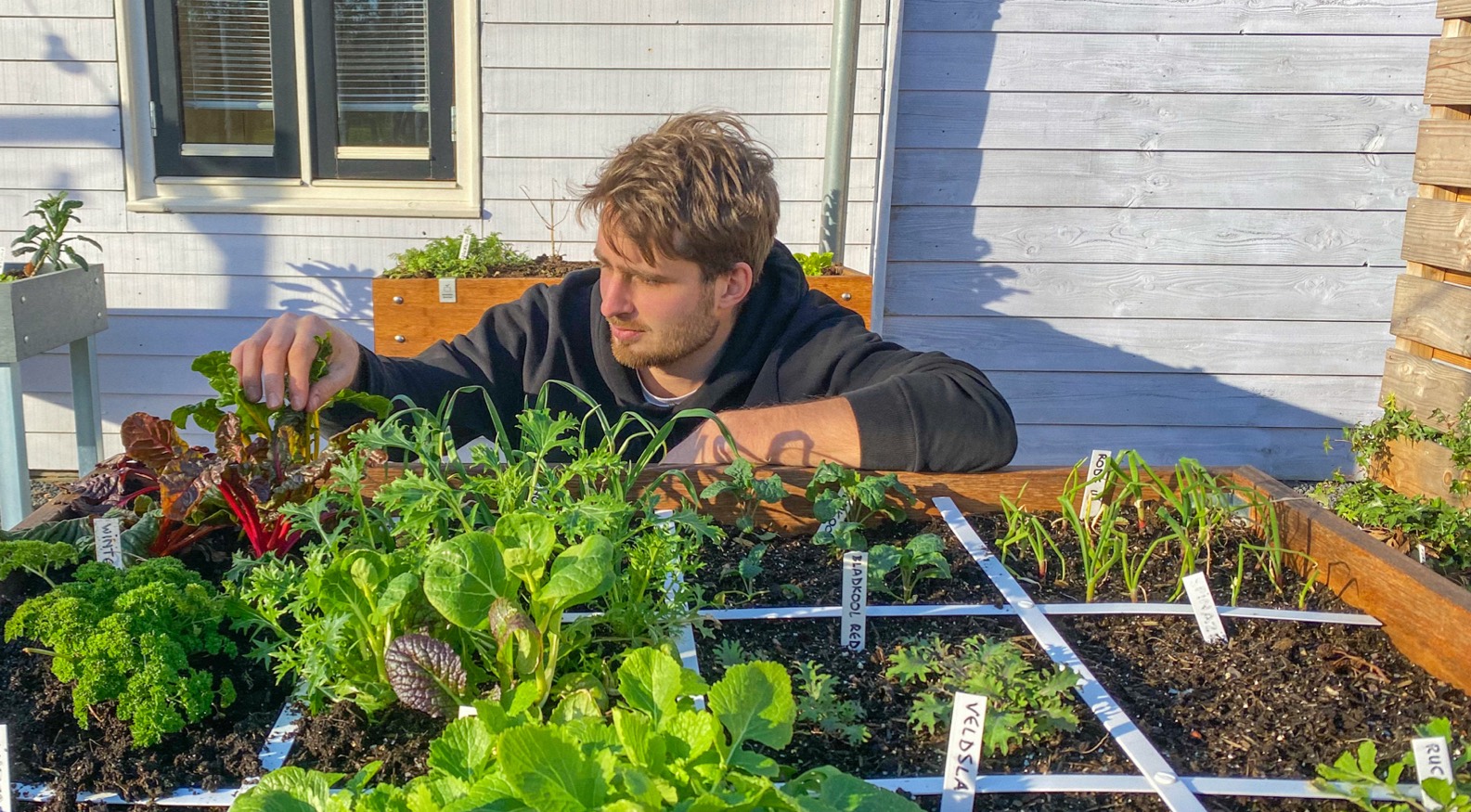 Jelle van de Makkelijke Moestuin