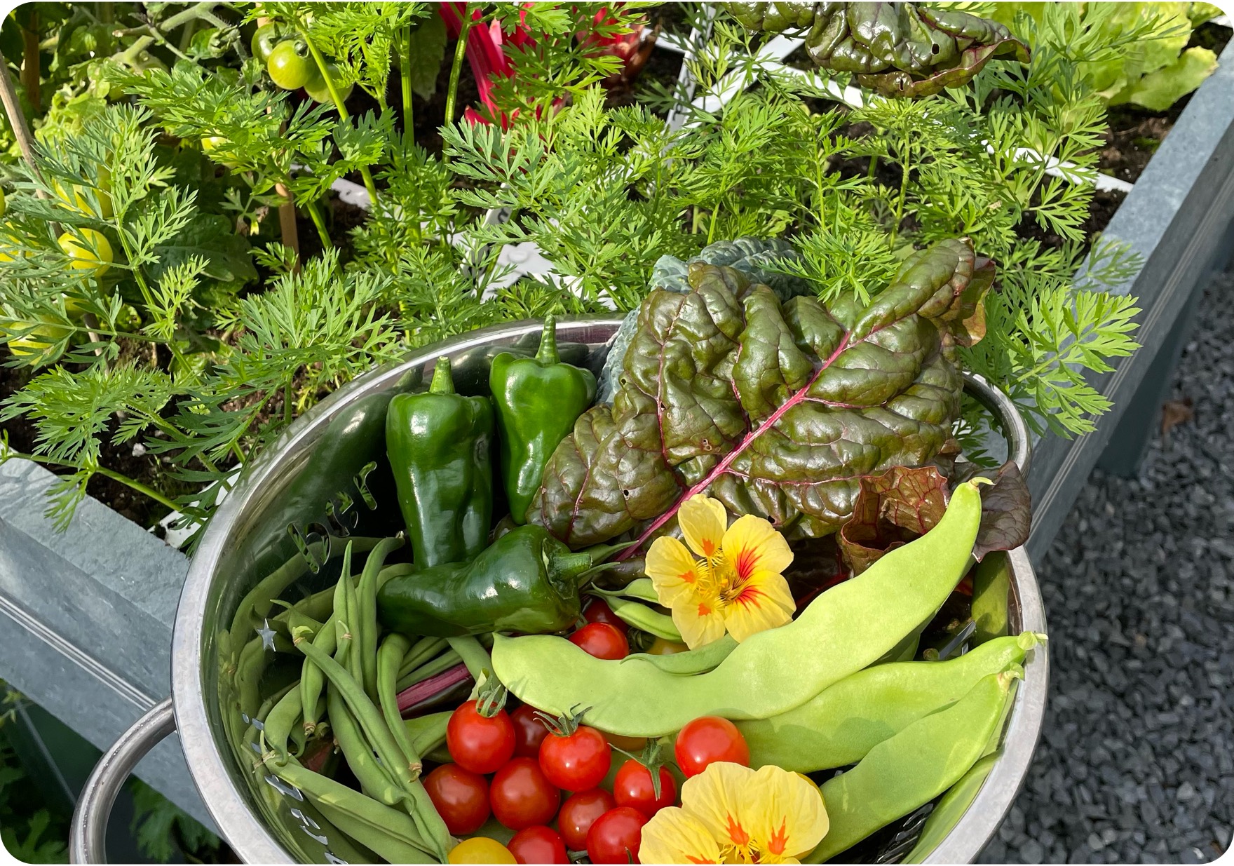 Een moestuin die werkt, daar staat de Makkelijke Moestuin voor