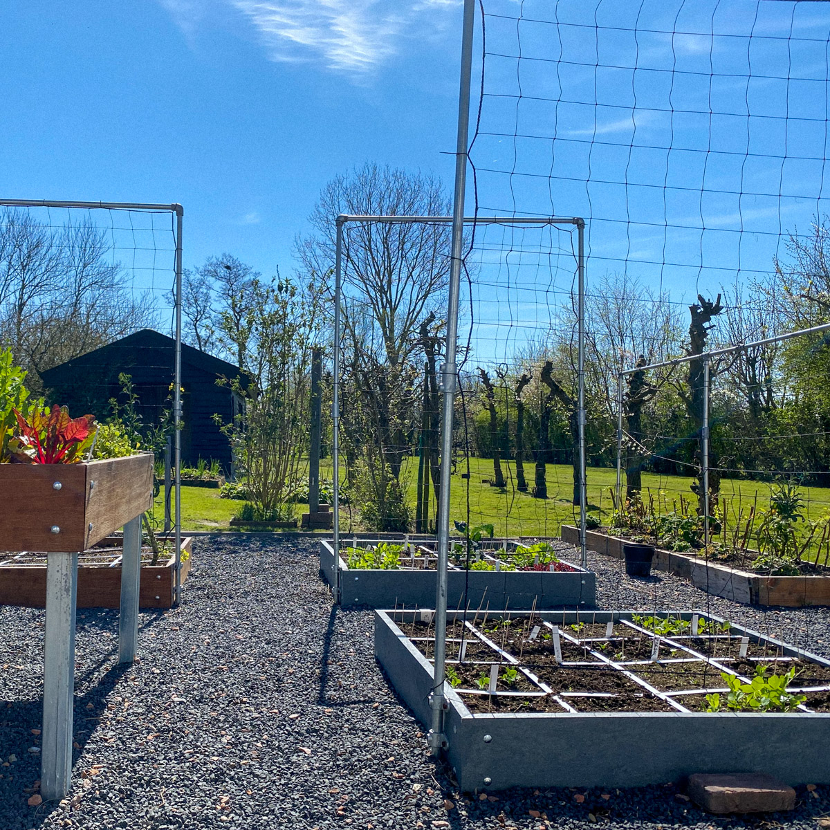 Half april: veel bomen zijn nog kaal maar in mijn Makkelijke Moestuinbakken begint het te groeien.