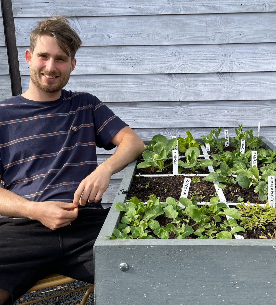 Eind april en de plantjes in de Makkelijke Moestuinbak beginnen te groeien