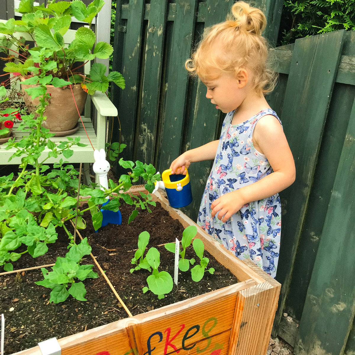 Rafke bij haar eigen moestuinbak