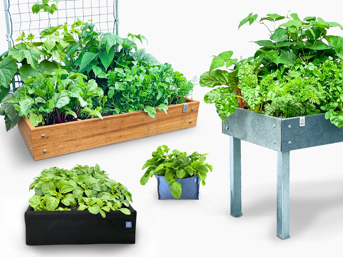 The Planty Garden starter kits are complete vegetable gardening packages that include everything you need to grow your own food.