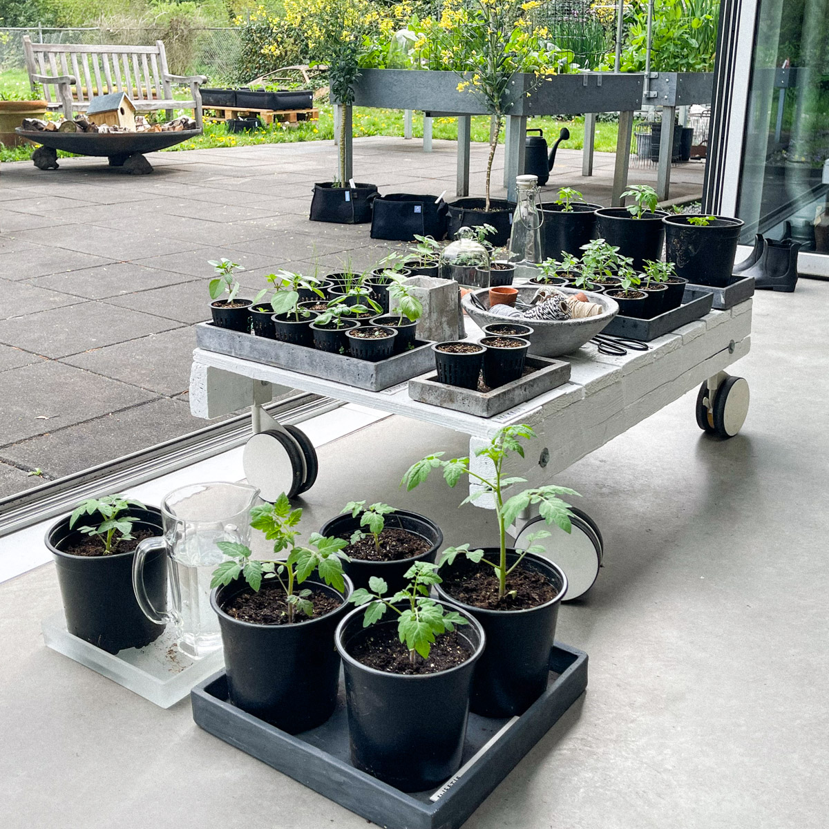 Plantjes voor de glazen schuifpui van Silvia