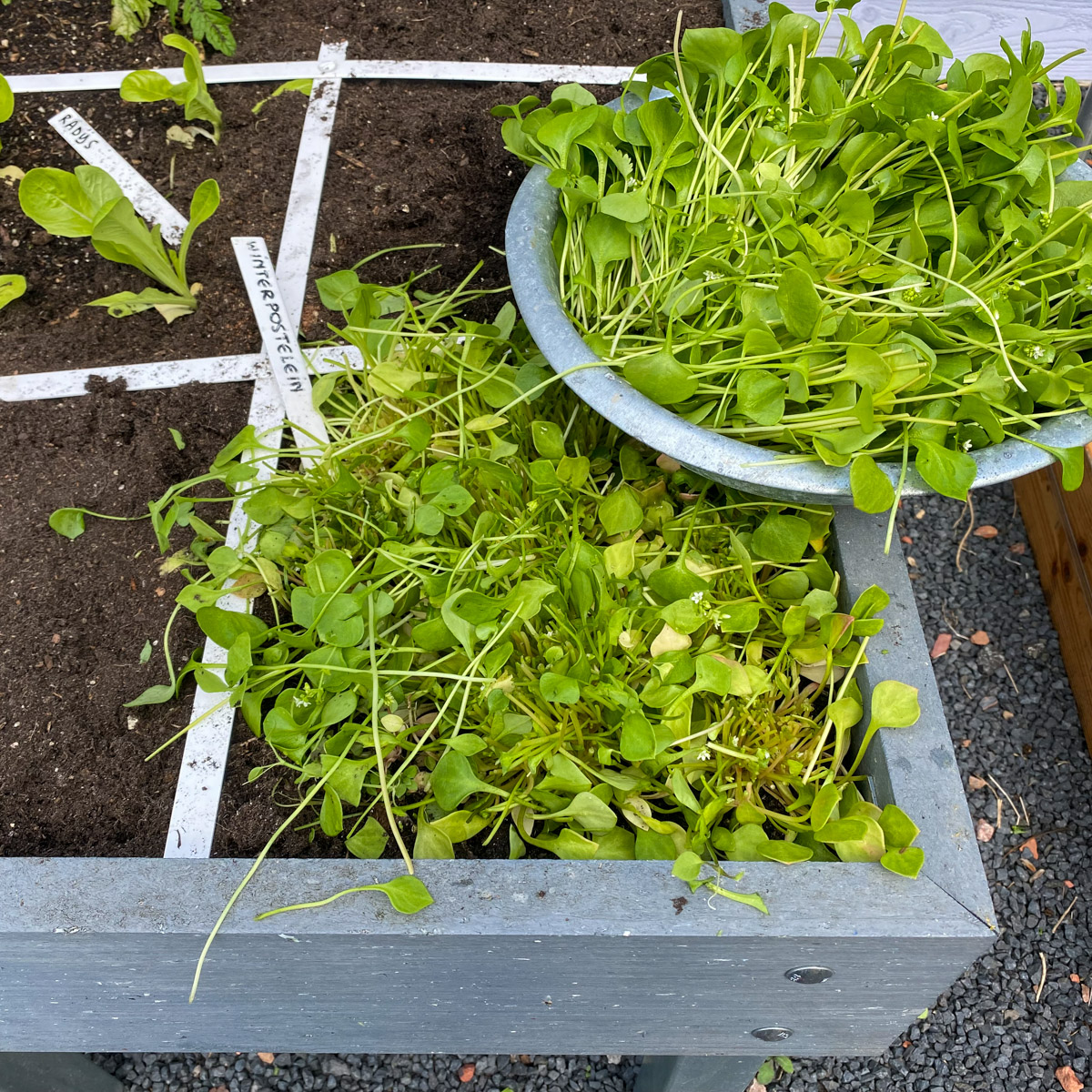 Harvesting all at once