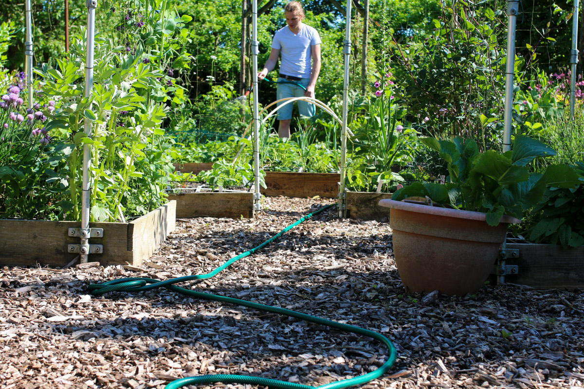 A garden hose gets hot in the sun
