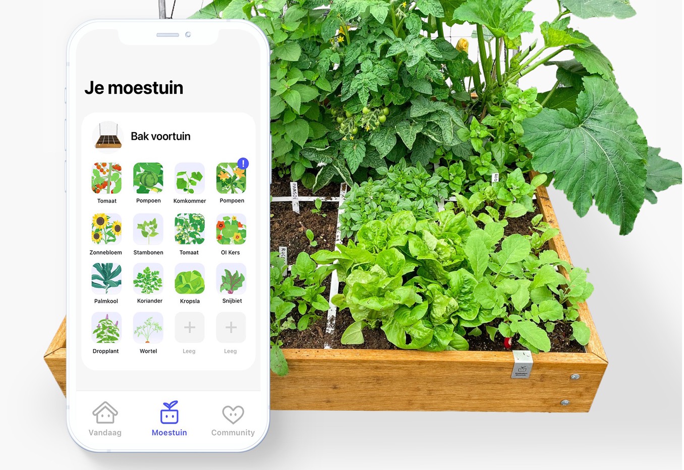 Moestuinieren met een app: alleen maar leuk en geen zwaar werk