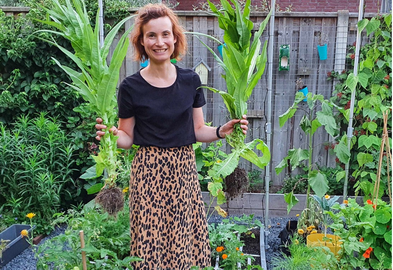 Makkelijke Moestuin: veel oogst op weinig ruimte