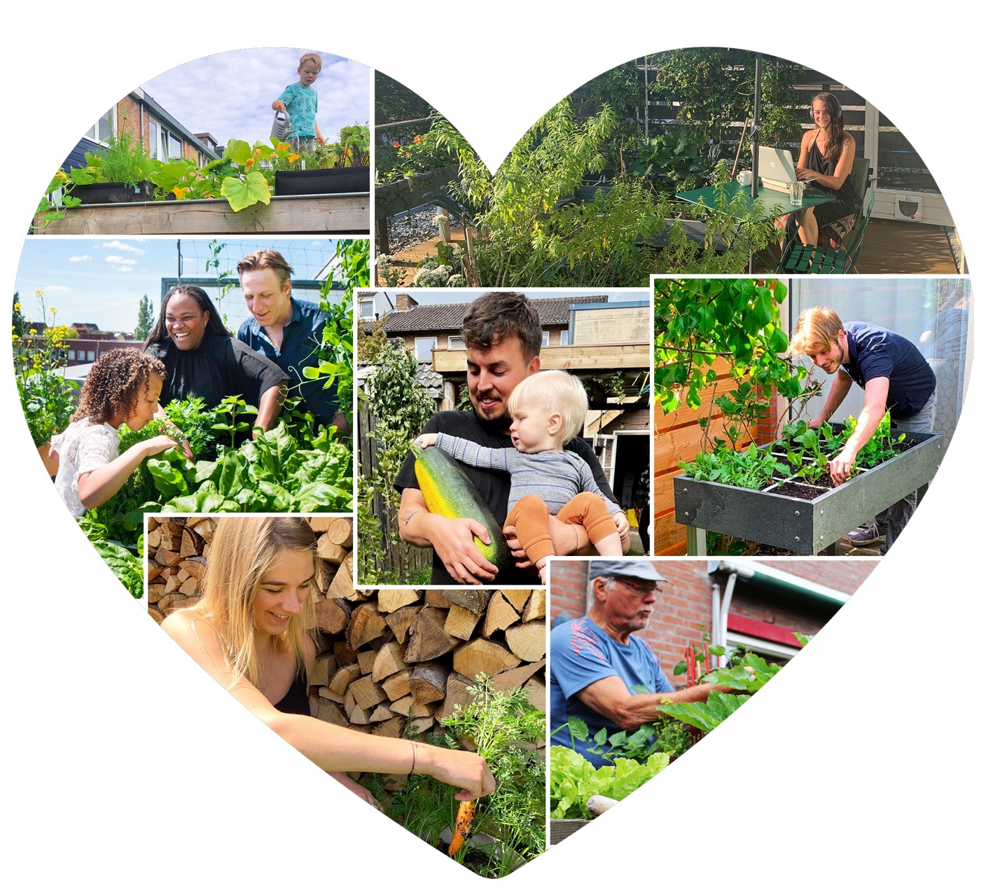 Samen moestuinieren met vele anderen