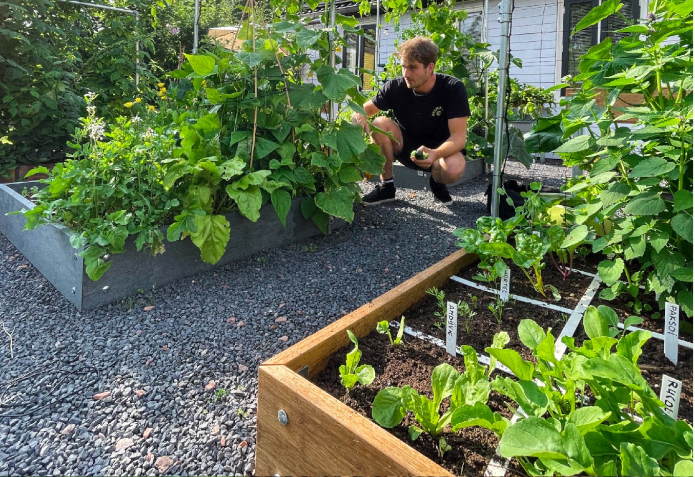 Met een Makkelijke Moestuin investeer je in de toekomst