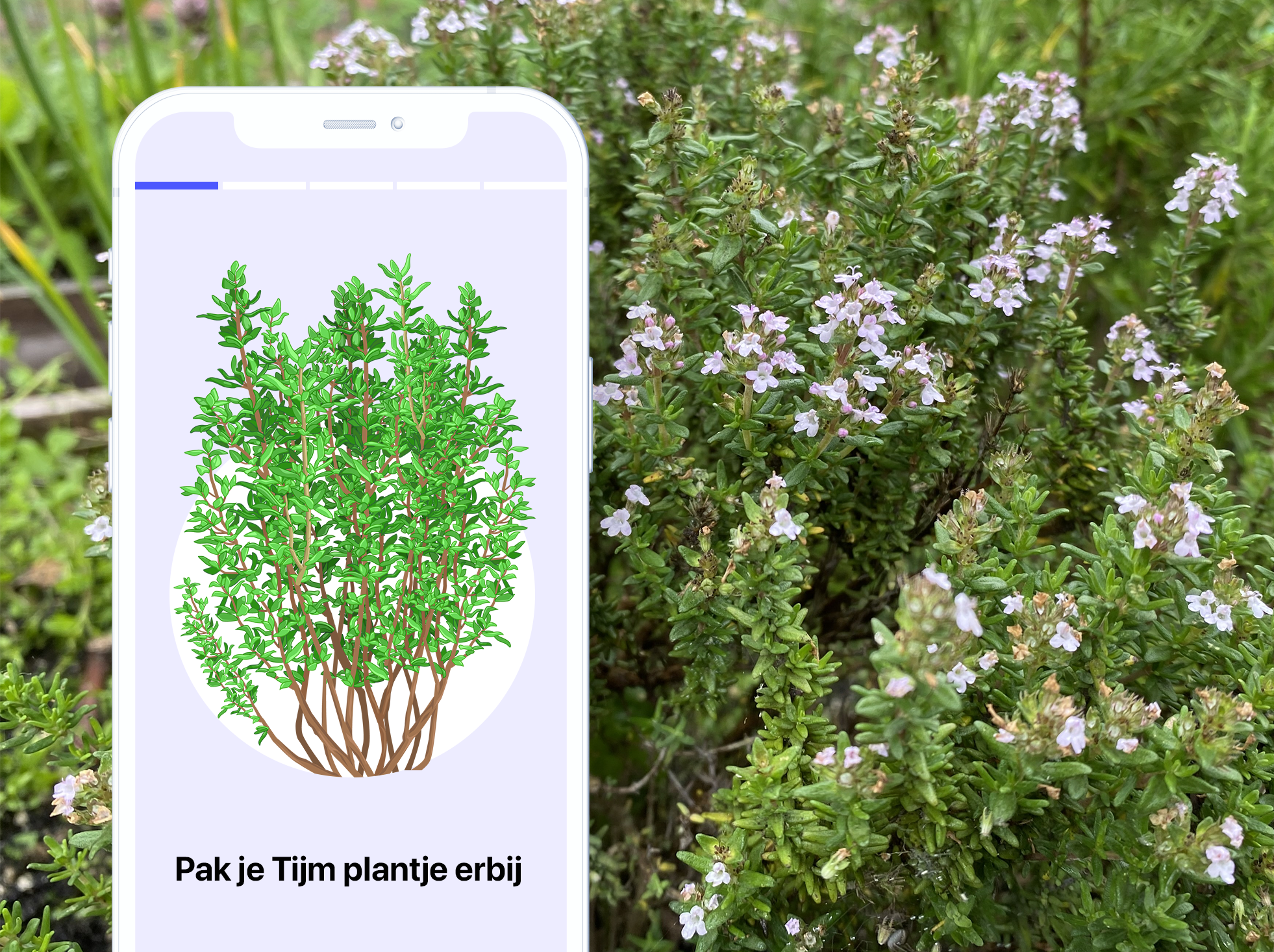 Tijm in de Makkelijke Moestuin app