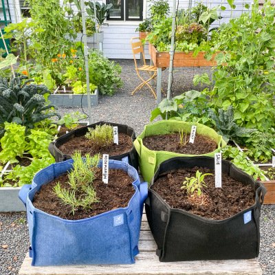 Nieuw: kruidenplantjes, óók in de app
