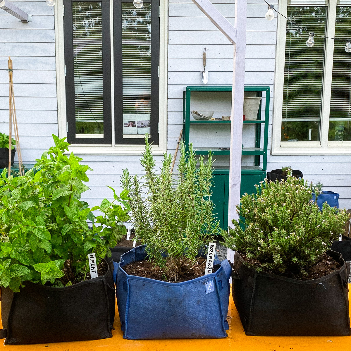 Verse kruiden uit eigen tuin