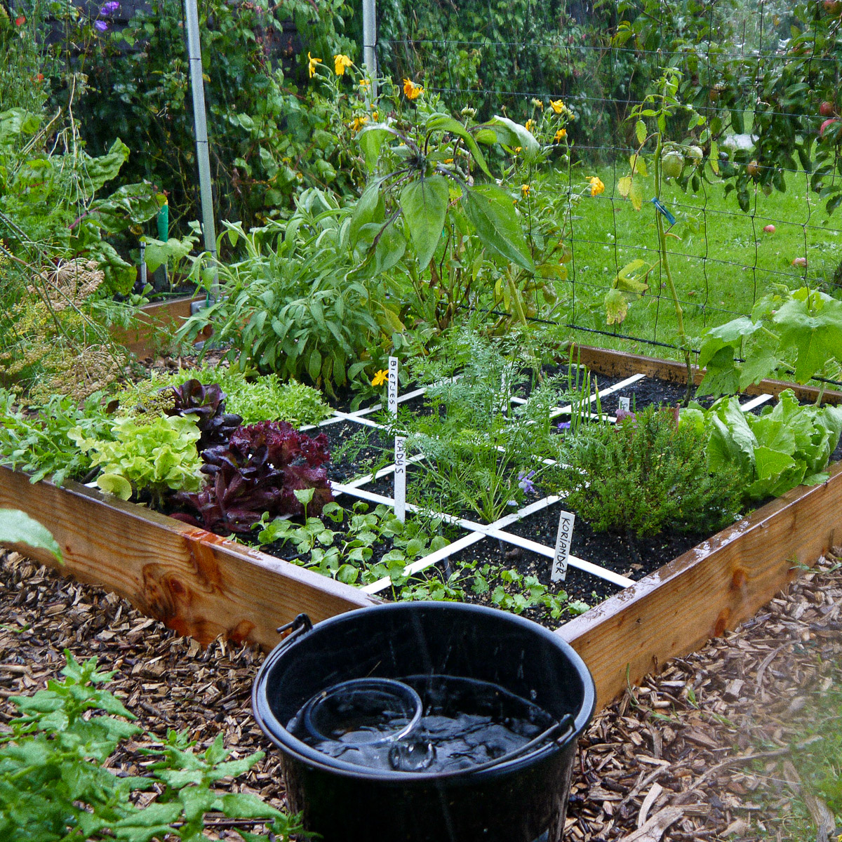 A lot of rain for long periods isn't good for your plants