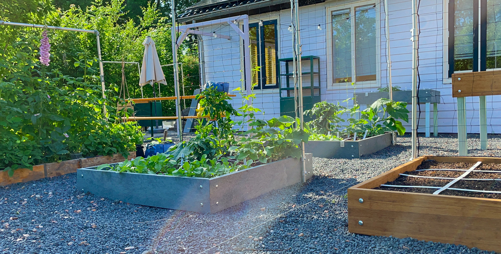 Makkelijke Moestuin eind juni. Links gestart op 1 juni, rechts klaar om in te zaaien.