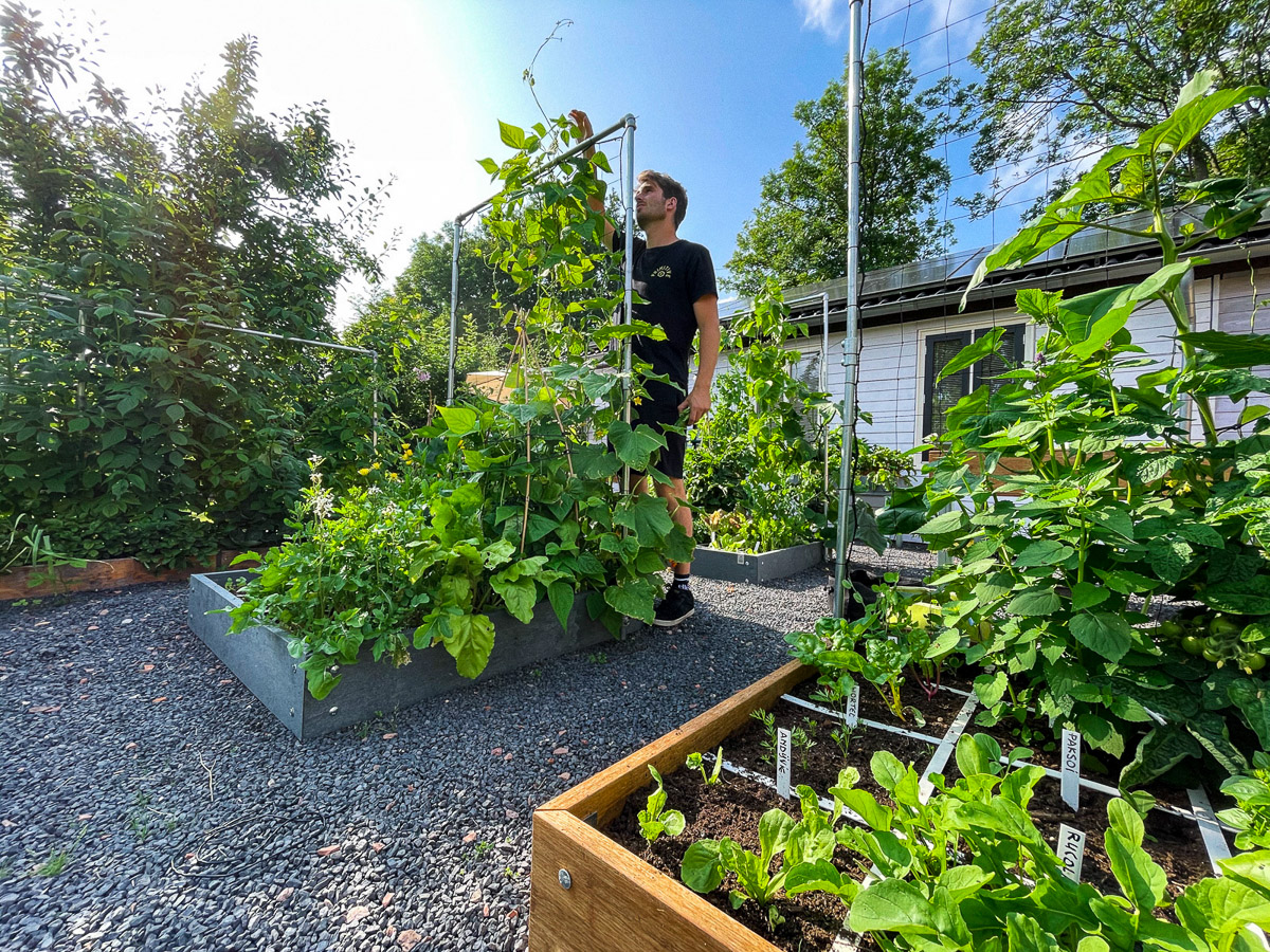 Dezelfde Makkelijke Moestuinbakken, maar nu op 20 juli