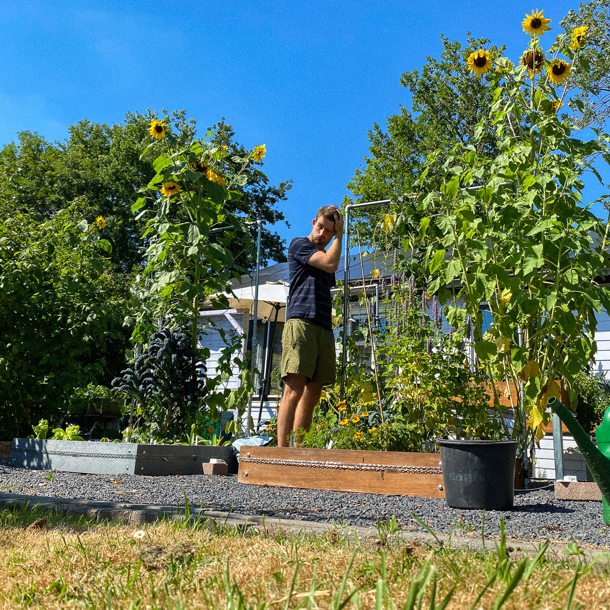 Hitte in de Makkelijke Moestuin