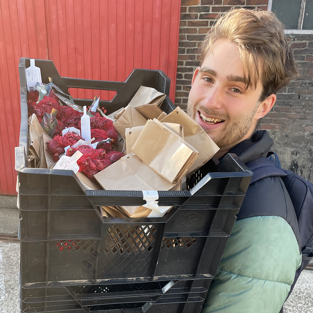 Knoflook en winteruitjes, daar is het nu de juiste tijd voor