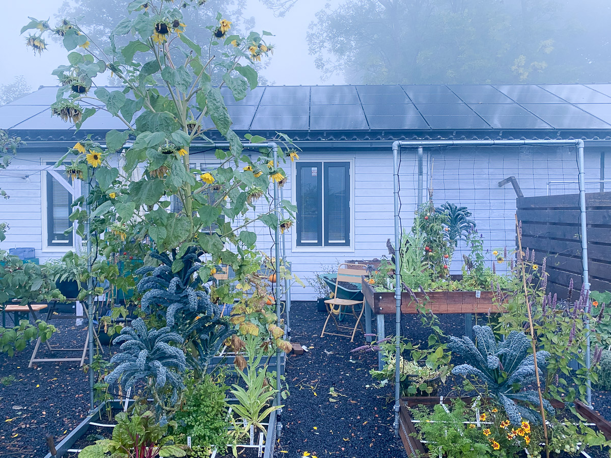 Makkelijke Moestuin begin oktober