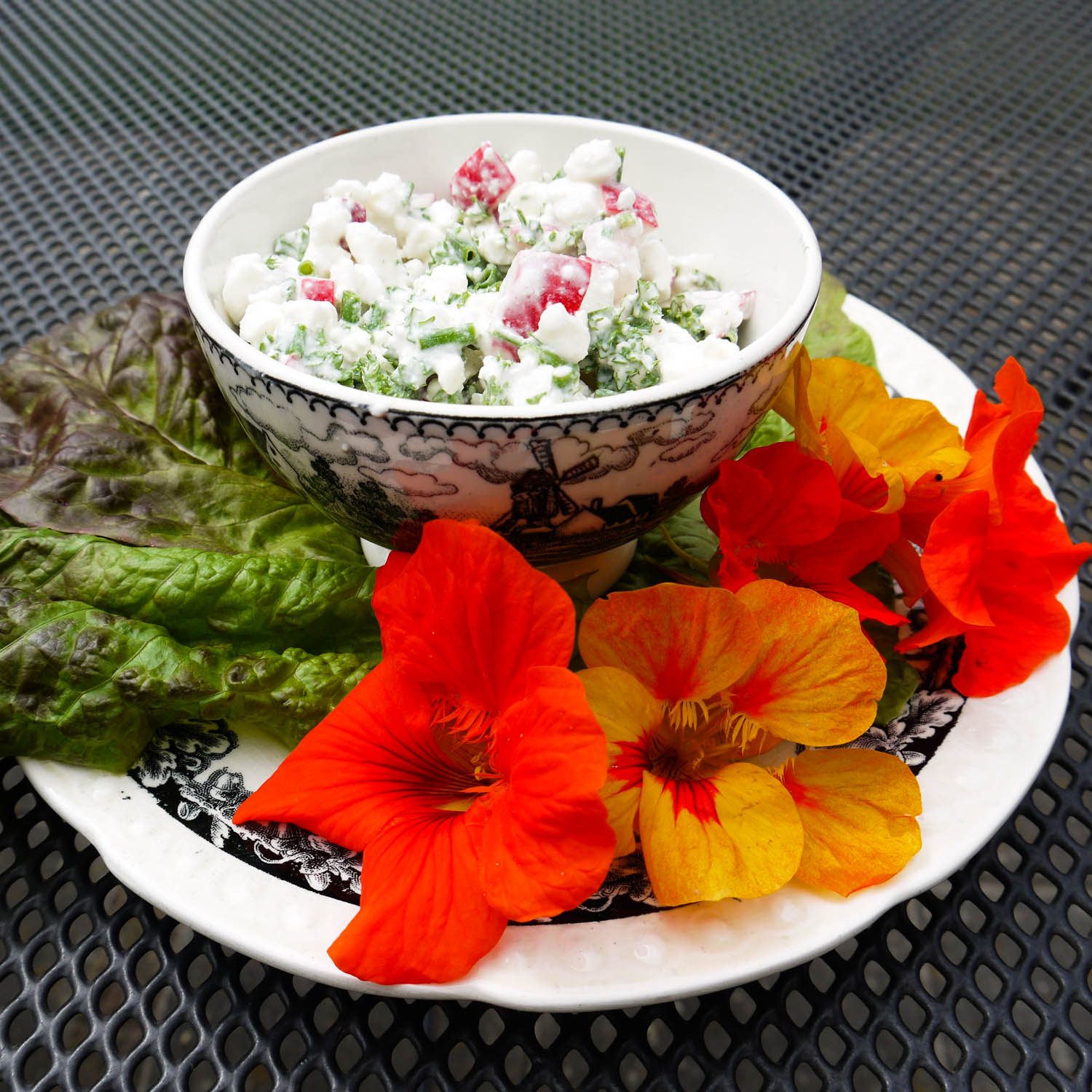 Indian cress